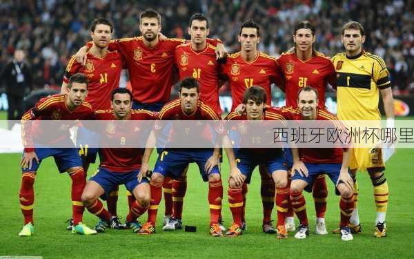 西班牙欧洲杯哪里