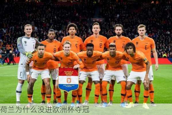 荷兰为什么没进欧洲杯夺冠