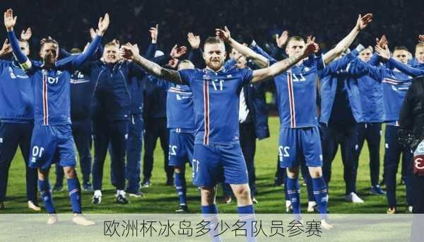 欧洲杯冰岛多少名队员参赛
