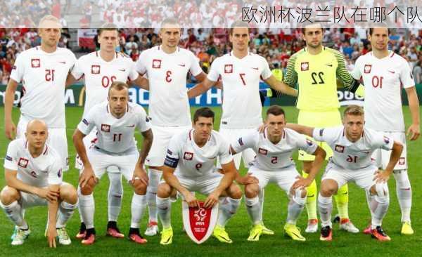 欧洲杯波兰队在哪个队