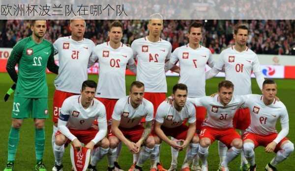 欧洲杯波兰队在哪个队