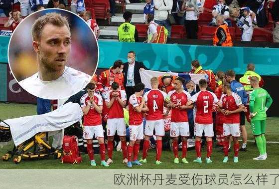 欧洲杯丹麦受伤球员怎么样了