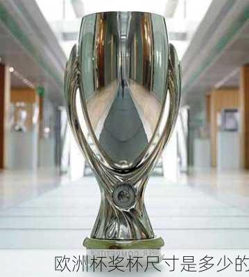 欧洲杯奖杯尺寸是多少的