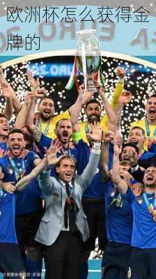 欧洲杯怎么获得金牌的