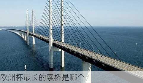 欧洲杯最长的索桥是哪个
