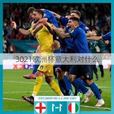 3021欧洲杯意大利对什么