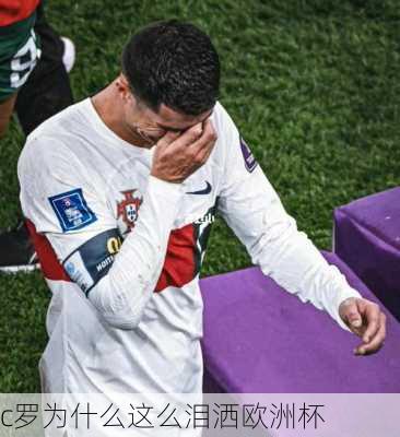 c罗为什么这么泪洒欧洲杯