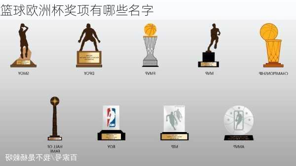 篮球欧洲杯奖项有哪些名字