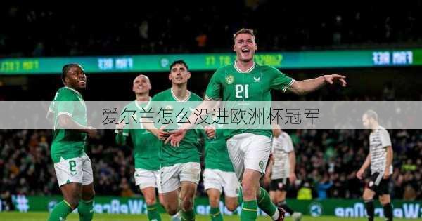 爱尔兰怎么没进欧洲杯冠军