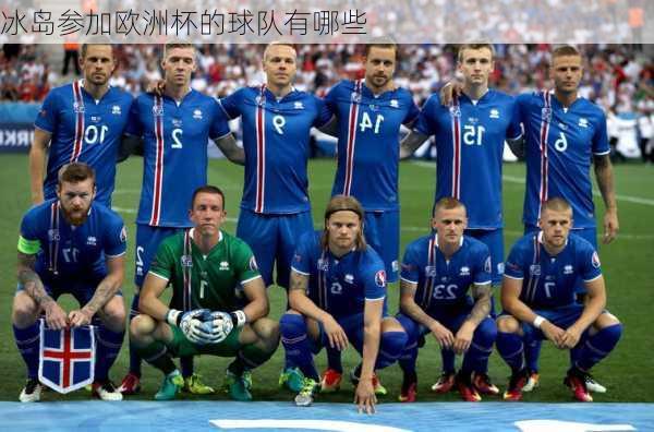冰岛参加欧洲杯的球队有哪些