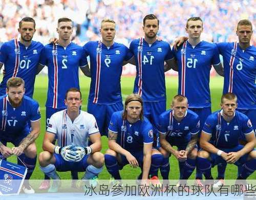 冰岛参加欧洲杯的球队有哪些