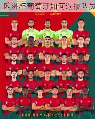 欧洲杯葡萄牙如何选拔队员