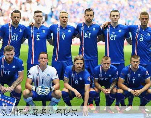 欧洲杯冰岛多少名球员