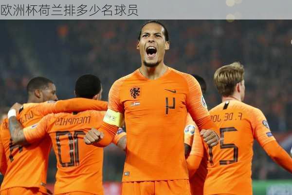 欧洲杯荷兰排多少名球员