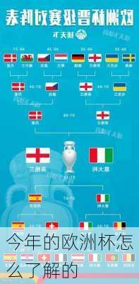 今年的欧洲杯怎么了解的