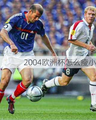 2004欧洲杯怎么瘦小
