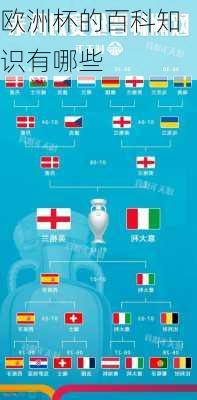 欧洲杯的百科知识有哪些