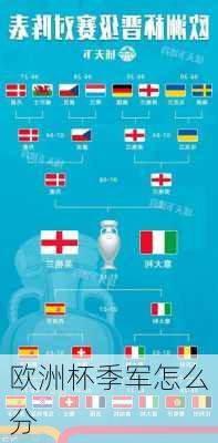 欧洲杯季军怎么分