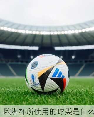欧洲杯所使用的球类是什么