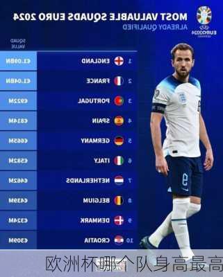欧洲杯哪个队身高最高