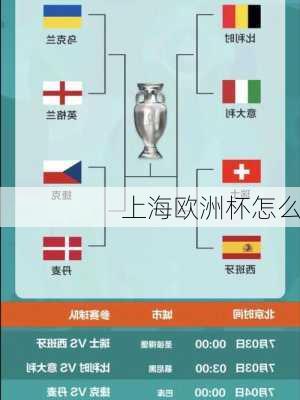 上海欧洲杯怎么