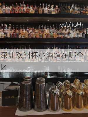 深圳欧洲杯小酒馆在哪个区