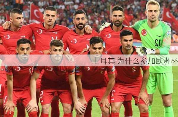 土耳其 为什么参加欧洲杯