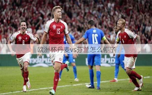 欧洲杯丹麦vs芬兰怎么停了