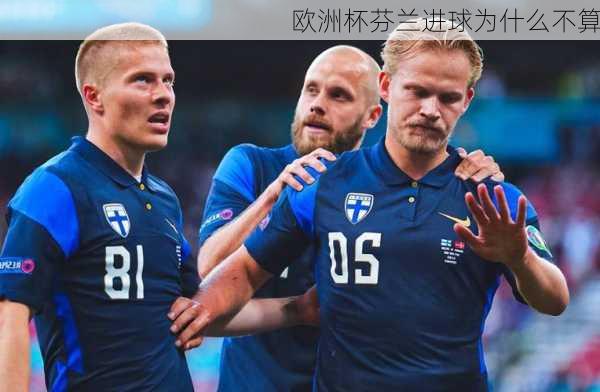 欧洲杯芬兰进球为什么不算