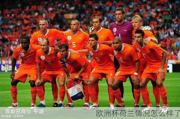 欧洲杯荷兰情况怎么样了