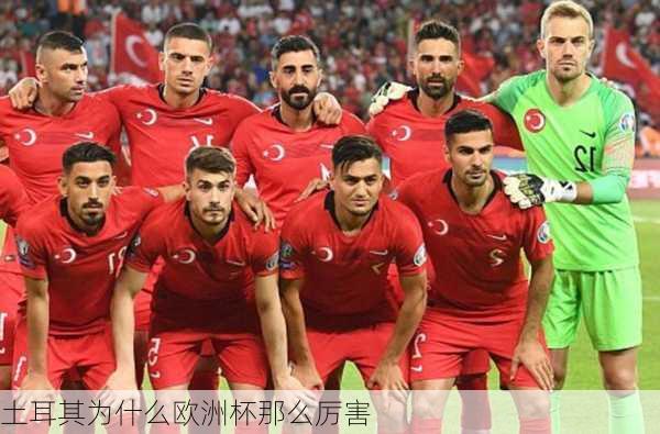土耳其为什么欧洲杯那么厉害