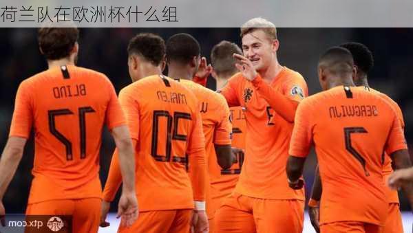 荷兰队在欧洲杯什么组